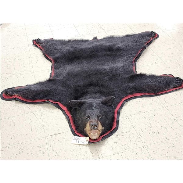 Black Bear Rug Taxidermy