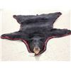Image 1 : Black Bear Rug Taxidermy