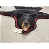 Image 2 : Black Bear Rug Taxidermy