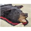 Image 3 : Black Bear Rug Taxidermy