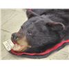 Image 4 : Black Bear Rug Taxidermy