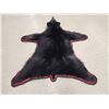 Image 6 : Black Bear Rug Taxidermy