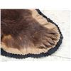 Image 7 : Alaskan Brown Bear Rug Taxidermy