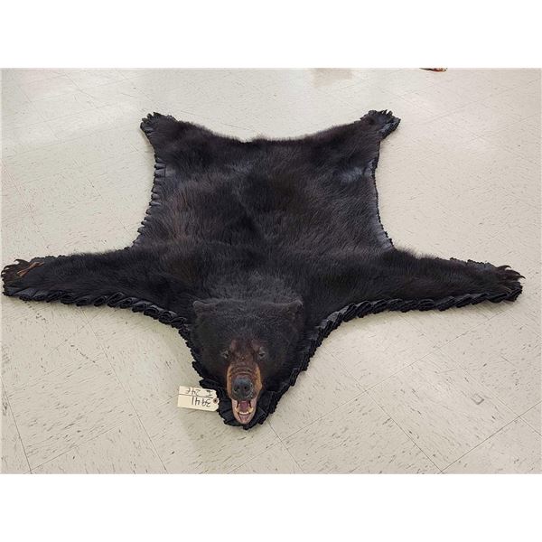 Black Bear Rug Taxidermy
