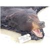 Image 3 : Black Bear Rug Taxidermy