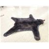 Image 5 : Black Bear Rug Taxidermy