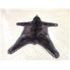 Image 6 : Black Bear Rug Taxidermy