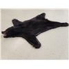 Image 7 : Black Bear Rug Taxidermy