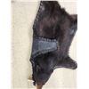 Image 8 : Black Bear Rug Taxidermy