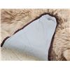 Image 12 : Blonde Phase Russian Brown Bear Rug Taxidermy