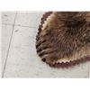 Image 6 : Blonde Phase Russian Brown Bear Rug Taxidermy