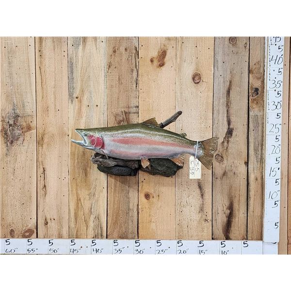 31" Rainbow Trout Real Skin Fish Taxidermy
