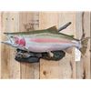Image 2 : 31" Rainbow Trout Real Skin Fish Taxidermy