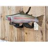 Image 3 : 31" Rainbow Trout Real Skin Fish Taxidermy
