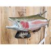 Image 4 : 31" Rainbow Trout Real Skin Fish Taxidermy