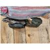 Image 5 : 31" Rainbow Trout Real Skin Fish Taxidermy