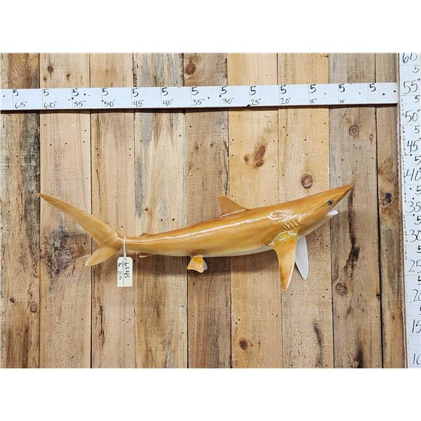 50" Shark Reproduction Fish Taxidermy