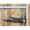 Image 1 : 34" Northern Pike Real Skin Fish Taxidermy