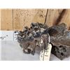 Image 3 : Ancient Woolly Mammoth Molar In Jaw Section