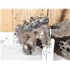 Image 4 : Ancient Woolly Mammoth Molar In Jaw Section