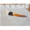Image 6 : African Saddle Billed Stork Skull