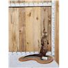 Image 1 : River Otter Full Body Taxidermy Mount