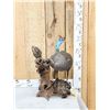 Image 2 : African Helmeted Guinea Fowl Full Body Bird Taxidermy