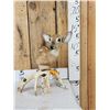 Image 1 : Whitetail Fawn Table Top Pedestal Taxidermy Mount