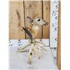 Image 2 : Whitetail Fawn Table Top Pedestal Taxidermy Mount