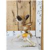 Image 4 : Whitetail Fawn Table Top Pedestal Taxidermy Mount
