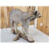 Image 6 : Alaskan Lynx Full Body Taxidermy Mount