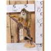 Image 1 : Squirrel Monkey Full Body Taxidermy Mount
