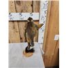 Image 6 : Squirrel Monkey Full Body Taxidermy Mount