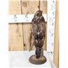 Image 3 : Buteo Buteo Comon Buzzard Full Body Bird Taxidermy