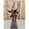 Image 5 : African Bongo Antelope Full Body Taxidermy Mount