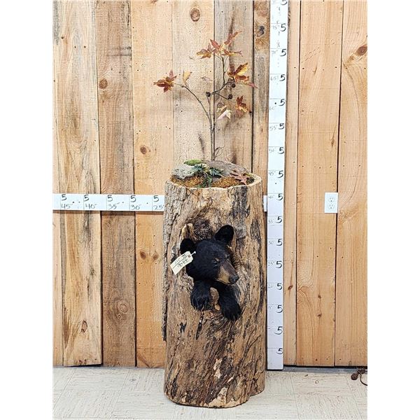 Black Bear In A Hollow Log Taxidermy Mount