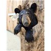 Image 4 : Black Bear In A Hollow Log Taxidermy Mount