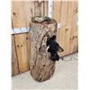 Image 6 : Black Bear In A Hollow Log Taxidermy Mount