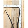 Image 7 : African Gemsbok Pedestal Taxidermy Mount