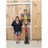 Image 1 : Hand Carved Wooden Totem Pole