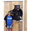 Image 8 : Monster Black Bear Half Body Taxidermy Mount