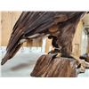 Image 10 : Spectacular 100% Reproduction Golden Eagle Full Body Bird Taxidermy