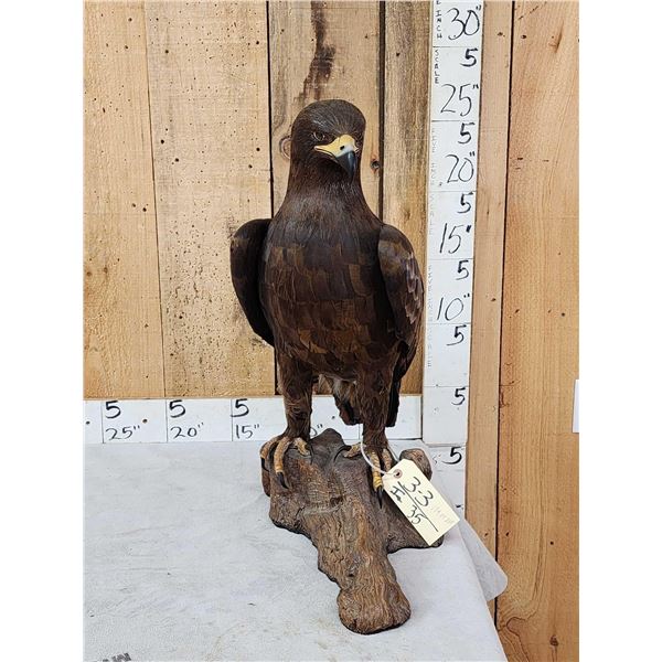 Spectacular 100% Reproduction Golden Eagle Full Body Bird Taxidermy