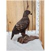 Image 2 : Spectacular 100% Reproduction Golden Eagle Full Body Bird Taxidermy