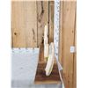 Image 5 : Awesome Hippopotamus Tusk Display