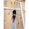 Image 7 : African Crowned Crane Full Body Bird Taxidermy