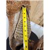 Image 14 : SPECTACULAR Woolly Mammoth Lower Jaw With Molars Fossil