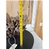 Image 12 : Awesome Ancient Woolly Mammoth Upper Jaw Section With Molars Fossil