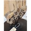 Image 3 : Awesome Ancient Woolly Mammoth Upper Jaw Section With Molars Fossil