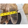 Image 9 : Awesome Ancient Woolly Mammoth Upper Jaw Section With Molars Fossil